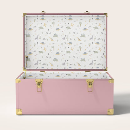 Large Baby Trunk