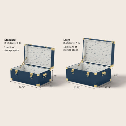 Large Baby Trunk