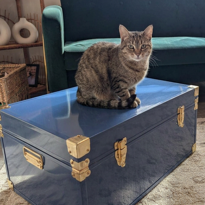 Cat Keepsake Trunk
