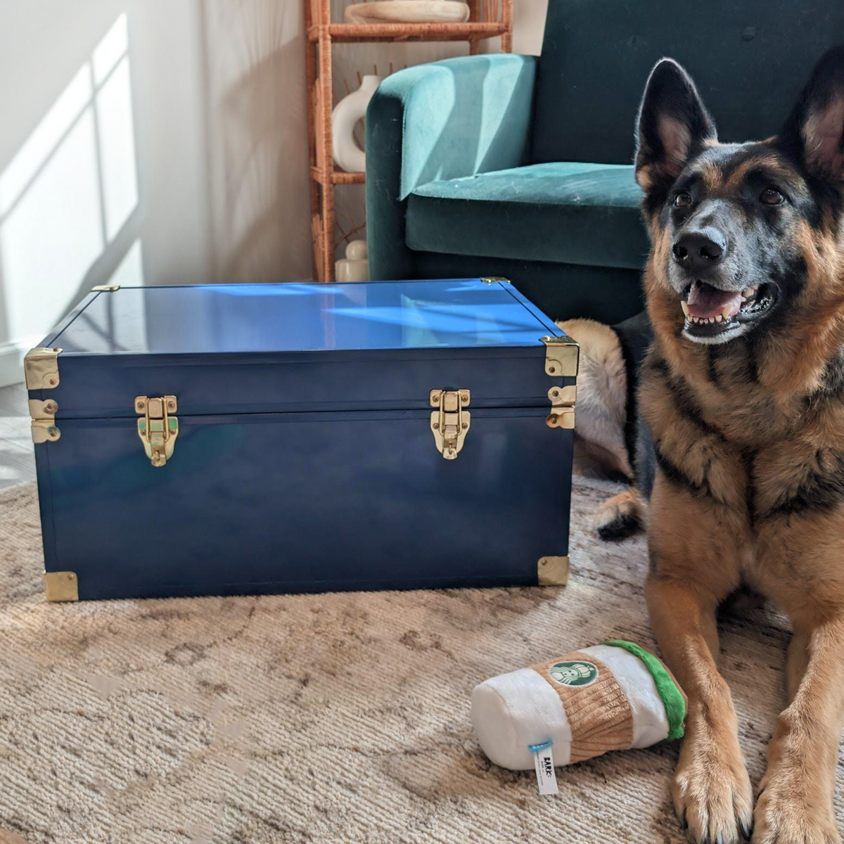 Dog Keepsake Trunk