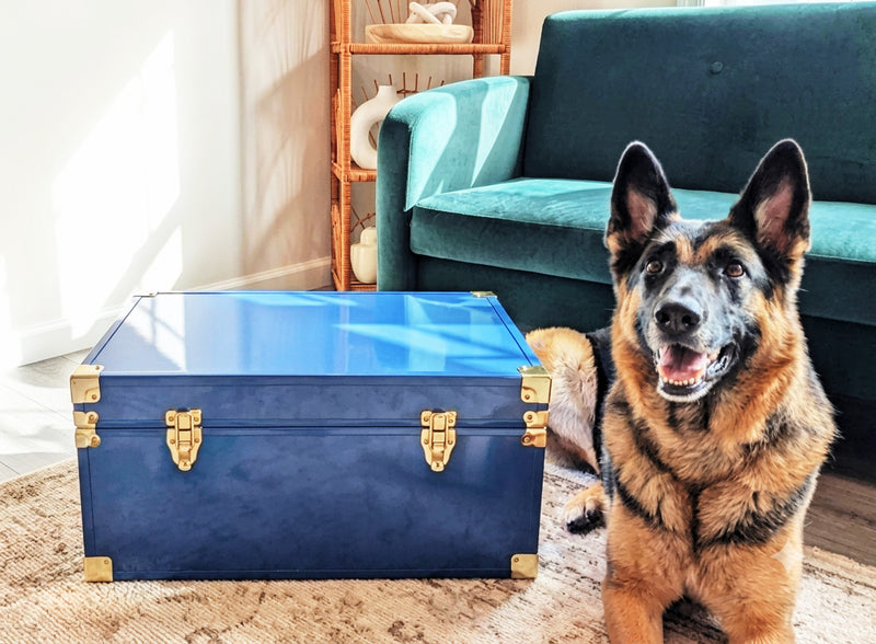 Pet Trunks